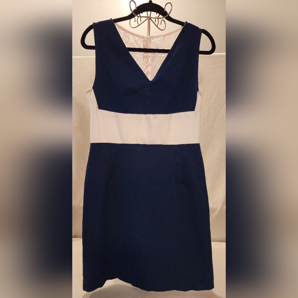 Navy Blue and White Dress